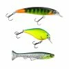 Söder Tackle Söder Tackle Perch Bundle -Vavan tarvikkeiden myynti STPERCHBUNDLE1 1
